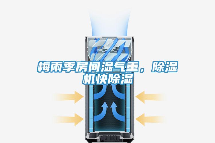 梅雨季房間濕氣重，除濕機快除濕