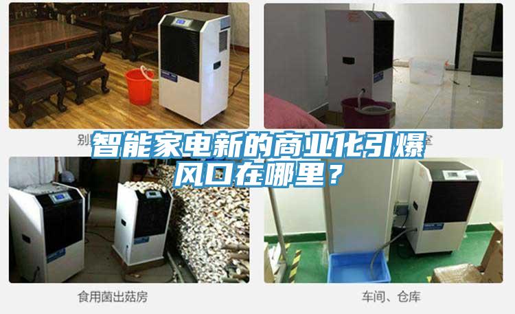 智能家電新的商業(yè)化引爆風(fēng)口在哪里？