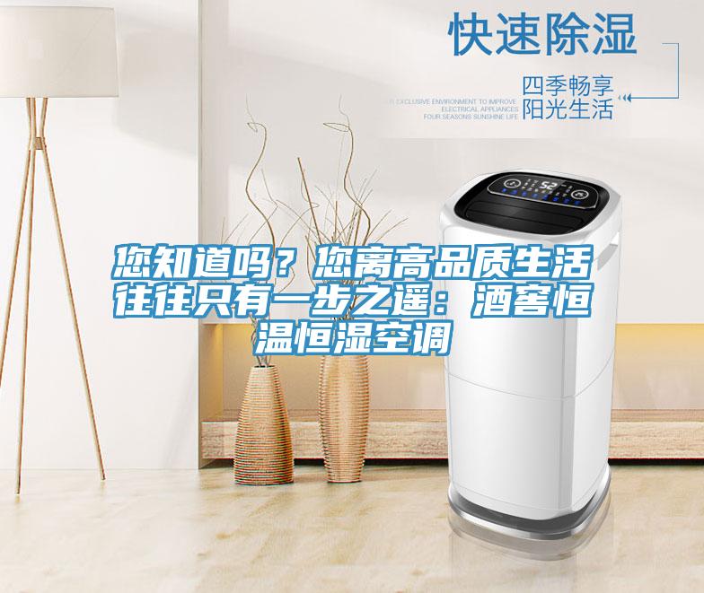 您知道嗎？您離高品質(zhì)生活往往只有一步之遙：酒窖恒溫恒濕空調(diào)