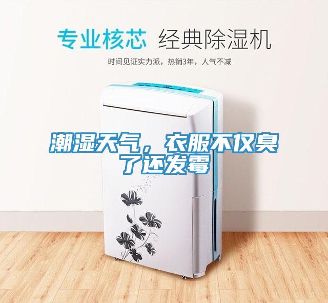 潮濕天氣，衣服不僅臭了還發(fā)霉