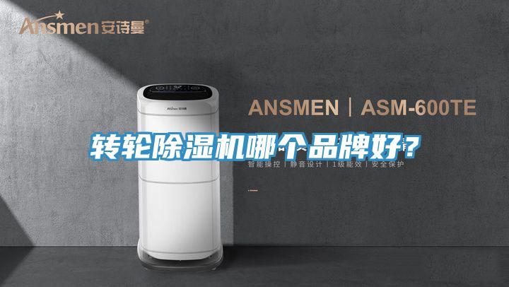 轉輪除濕機哪個品牌好？