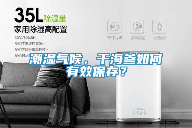 潮濕氣候，干海參如何有效保存？