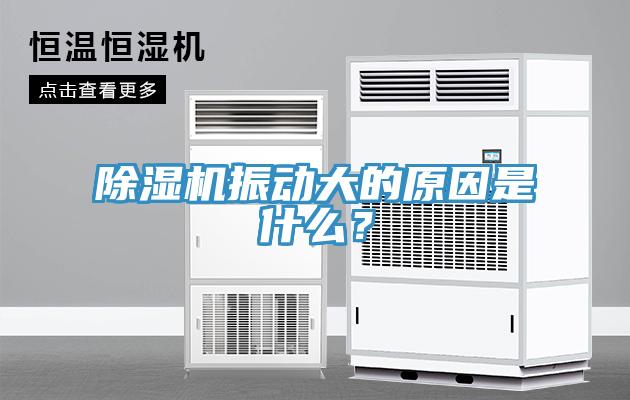 除濕機(jī)振動(dòng)大的原因是什么？