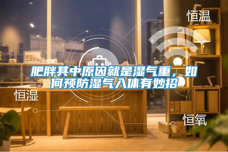 肥胖其中原因就是濕氣重，如何預(yù)防濕氣入體有妙招