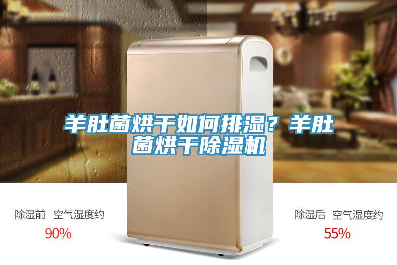 羊肚菌烘干如何排濕？羊肚菌烘干除濕機(jī)