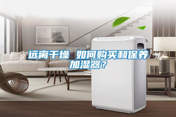 遠(yuǎn)離干燥 如何購(gòu)買和保養(yǎng)加濕器？