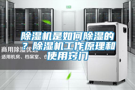 除濕機(jī)是如何除濕的？除濕機(jī)工作原理和使用竅門(mén)