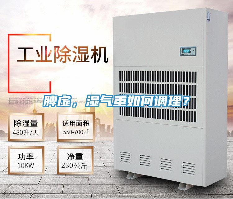 脾虛，濕氣重如何調理？