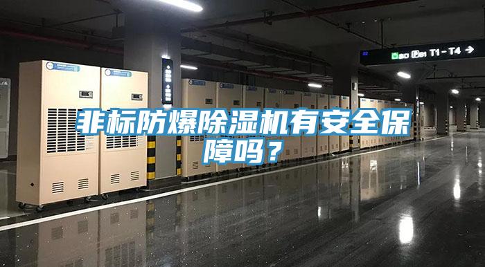 非標(biāo)防爆除濕機(jī)有安全保障嗎？