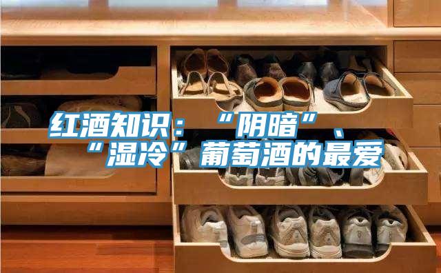 紅酒知識：“陰暗”、“濕冷”葡萄酒的最愛