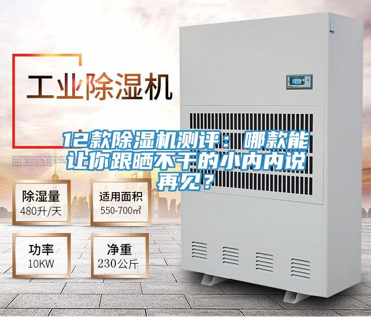 12款除濕機(jī)測(cè)評(píng)：哪款能讓你跟曬不干的小內(nèi)內(nèi)說(shuō)再見(jiàn)？