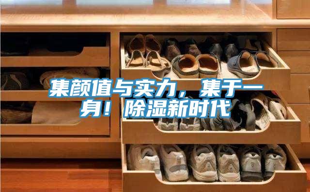 集顏值與實(shí)力，集于一身！除濕新時(shí)代