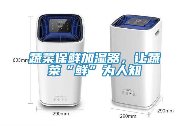 蔬菜保鮮加濕器，讓蔬菜“鮮”為人知