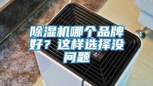 除濕機(jī)哪個品牌好？這樣選擇沒問題