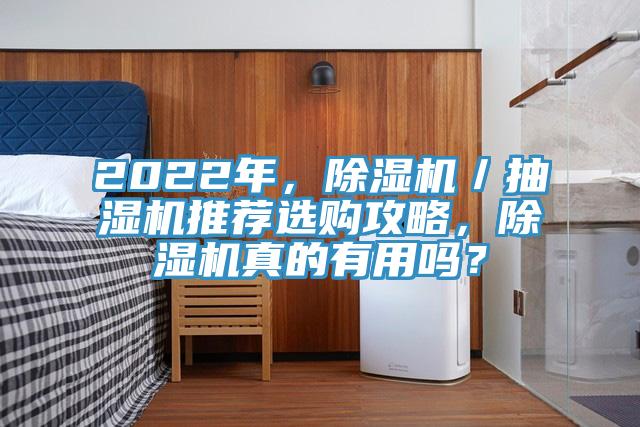 2022年，除濕機／抽濕機推薦選購攻略，除濕機真的有用嗎？