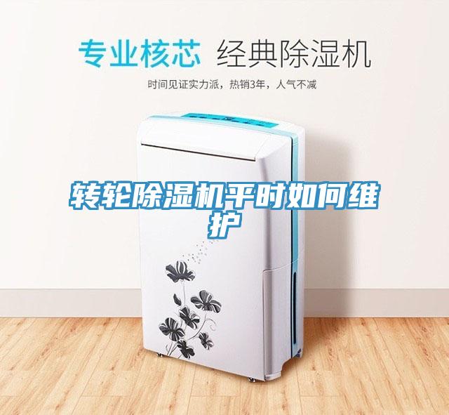 轉(zhuǎn)輪除濕機平時如何維護(hù)