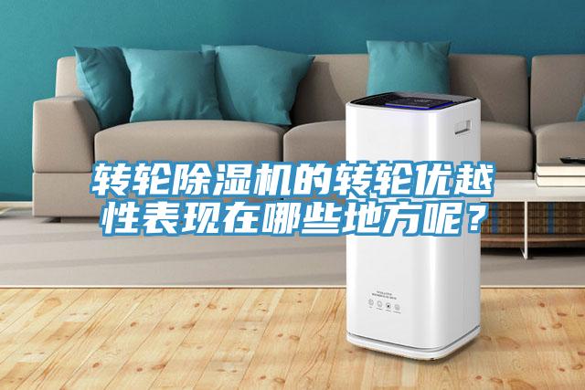 轉(zhuǎn)輪除濕機(jī)的轉(zhuǎn)輪優(yōu)越性表現(xiàn)在哪些地方呢？