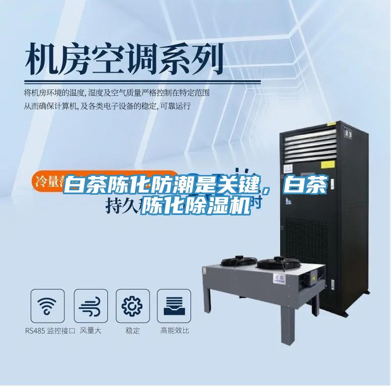 白茶陳化防潮是關(guān)鍵，白茶陳化除濕機(jī)