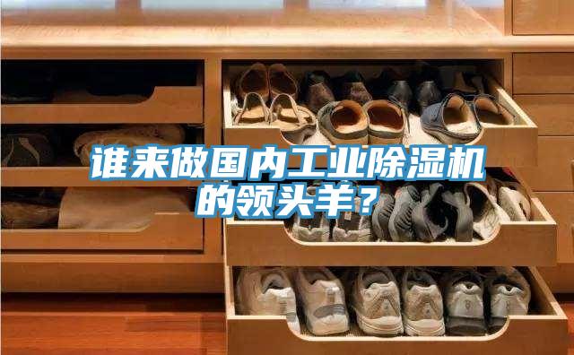 誰來做國內(nèi)工業(yè)除濕機的領(lǐng)頭羊？