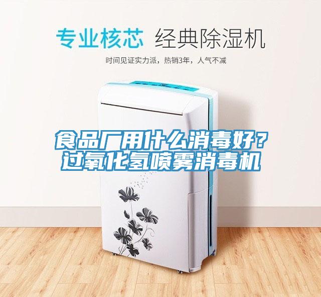 食品廠用什么消毒好？過氧化氫噴霧消毒機(jī)