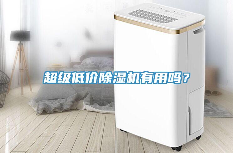 超級(jí)低價(jià)除濕機(jī)有用嗎？