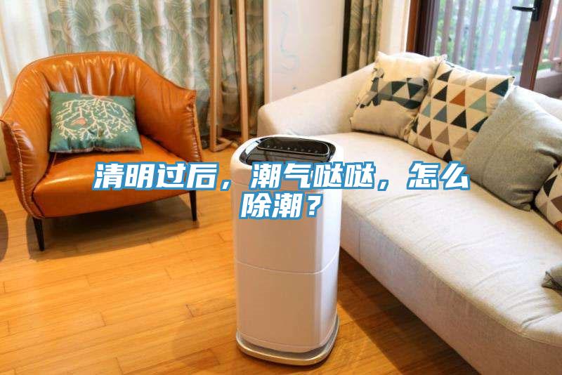 清明過后，潮氣噠噠，怎么除潮？