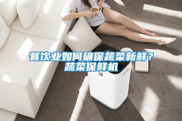 餐飲業(yè)如何確保蔬菜新鮮？蔬菜保鮮機