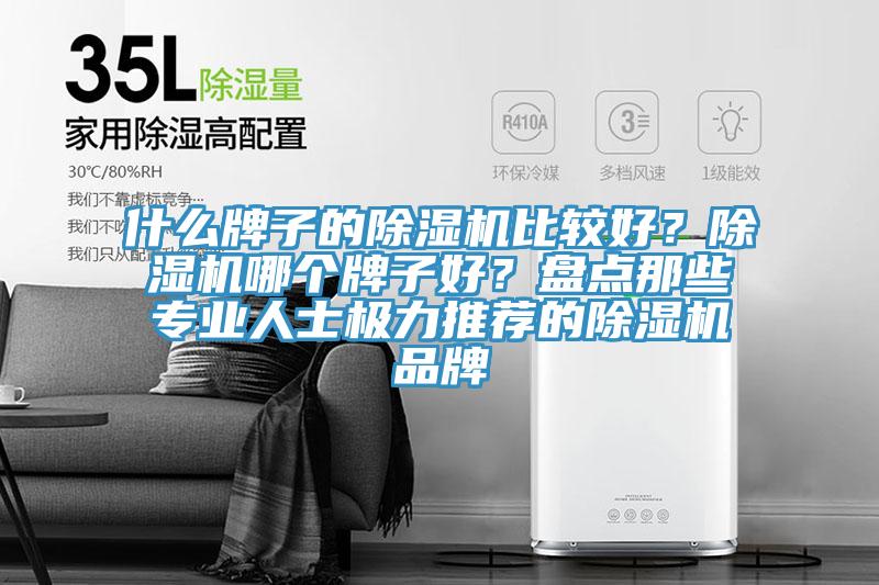 什么牌子的除濕機比較好？除濕機哪個牌子好？盤點那些專業(yè)人士極力推薦的除濕機品牌