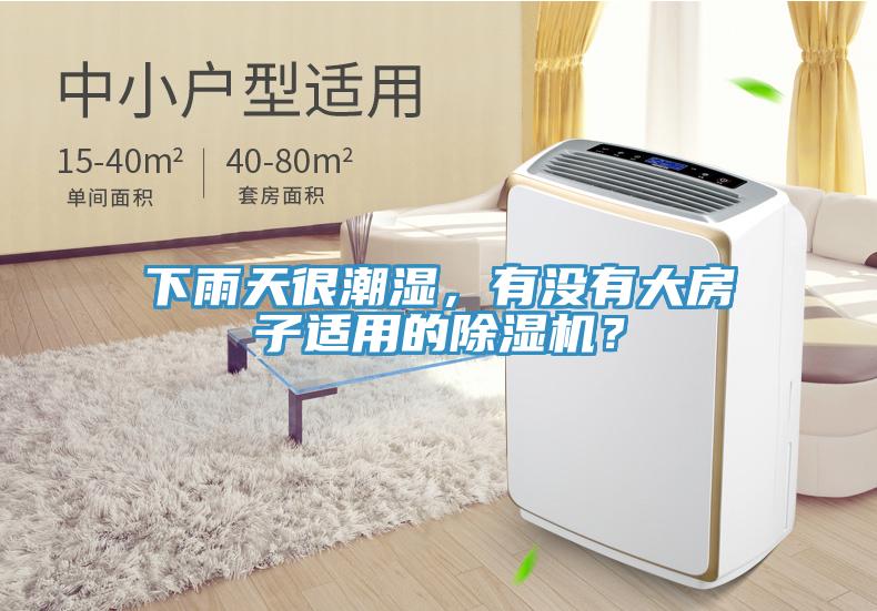 下雨天很潮濕，有沒有大房子適用的除濕機(jī)？