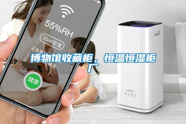 博物館收藏柜，恒溫恒濕柜廠