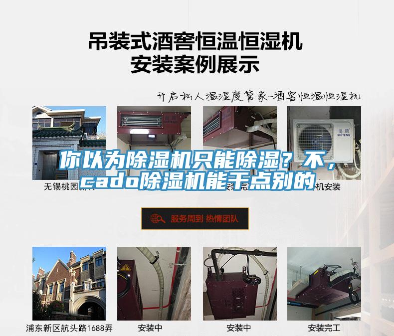 你以為除濕機(jī)只能除濕？不，cado除濕機(jī)能干點(diǎn)別的