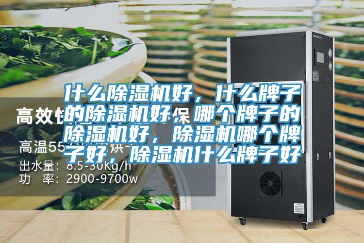 什么除濕機(jī)好，什么牌子的除濕機(jī)好，哪個(gè)牌子的除濕機(jī)好，除濕機(jī)哪個(gè)牌子好，除濕機(jī)什么牌子好