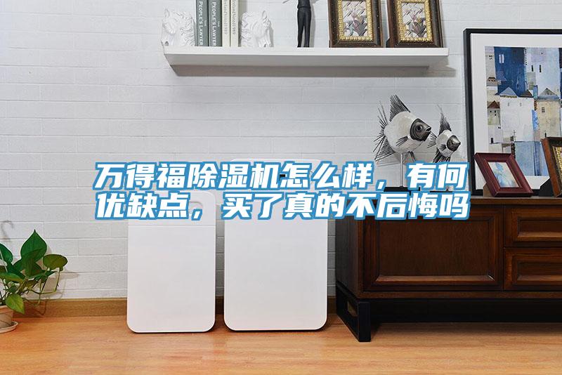 萬得福除濕機(jī)怎么樣，有何優(yōu)缺點(diǎn)，買了真的不后悔嗎