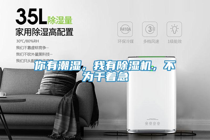 你有潮濕，我有除濕機(jī)，不為干著急