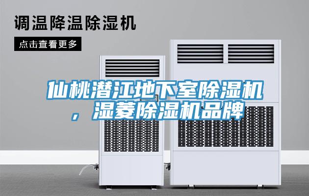 仙桃潛江地下室除濕機(jī)，濕菱除濕機(jī)品牌