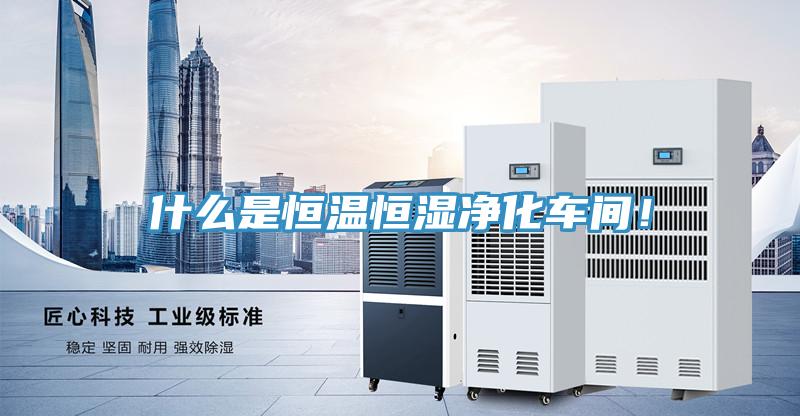什么是恒溫恒濕凈化車間！