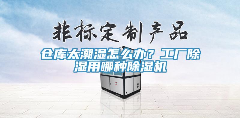 倉庫太潮濕怎么辦？工廠除濕用哪種除濕機