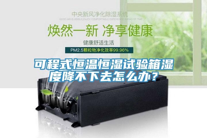 可程式恒溫恒濕試驗(yàn)箱濕度降不下去怎么辦？