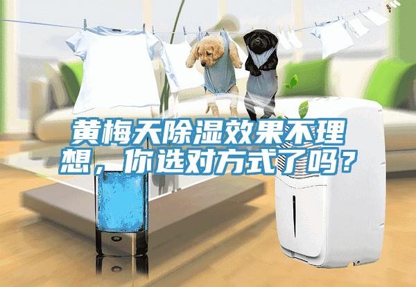 黃梅天除濕效果不理想，你選對方式了嗎？