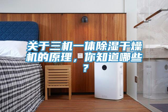 關(guān)于三機(jī)一體除濕干燥機(jī)的原理，你知道哪些？