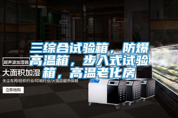 三綜合試驗(yàn)箱，防爆高溫箱，步入式試驗(yàn)箱，高溫老化房