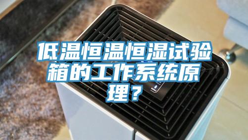 低溫恒溫恒濕試驗箱的工作系統(tǒng)原理？