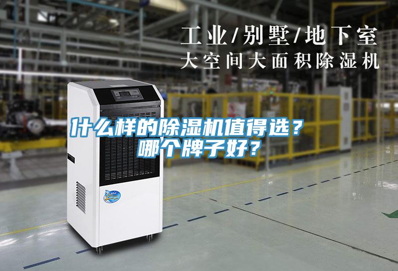 什么樣的除濕機值得選？ 哪個牌子好？