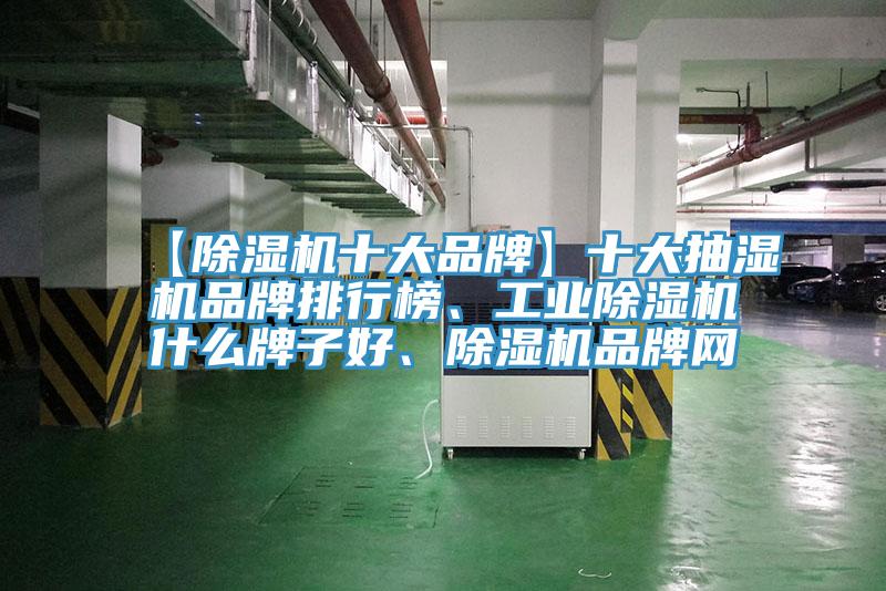 【除濕機十大品牌】十大抽濕機品牌排行榜、工業(yè)除濕機什么牌子好、除濕機品牌網(wǎng)