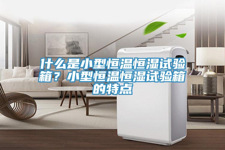什么是小型恒溫恒濕試驗(yàn)箱？小型恒溫恒濕試驗(yàn)箱的特點(diǎn)