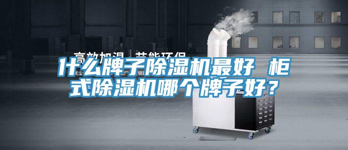 什么牌子除濕機(jī)最好 柜式除濕機(jī)哪個(gè)牌子好？
