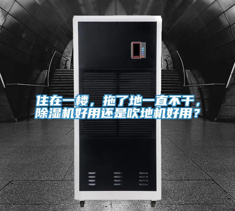 住在一樓，拖了地一直不干，除濕機(jī)好用還是吹地機(jī)好用？