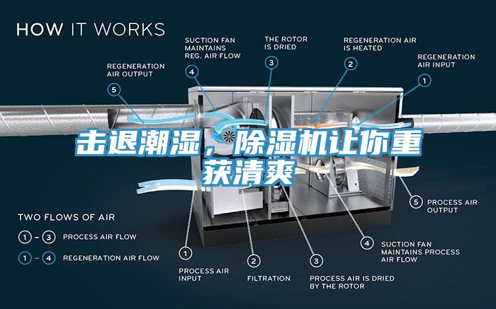 擊退潮濕，除濕機(jī)讓你重獲清爽