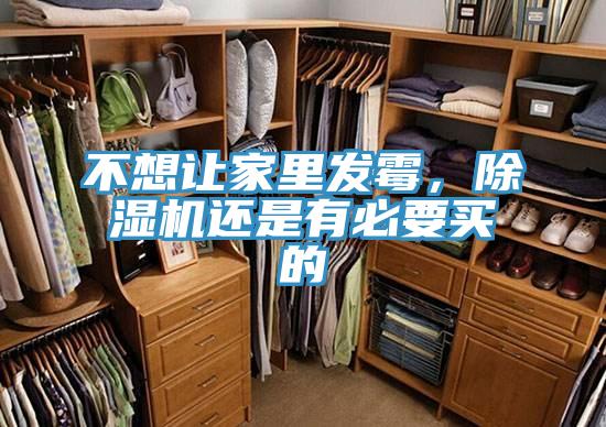 不想讓家里發(fā)霉，除濕機(jī)還是有必要買的