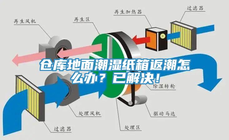 倉庫地面潮濕紙箱返潮怎么辦？已解決！